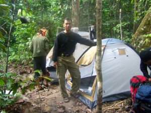 Camp Survey di Taman Nasional Gunung Leuser (TNGL) Langkat Sumut